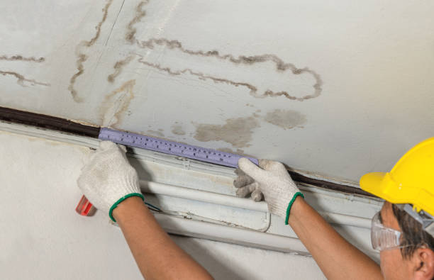 Reliable Mold Remediation contractor in Oxford, ME by Water Damage Irwin